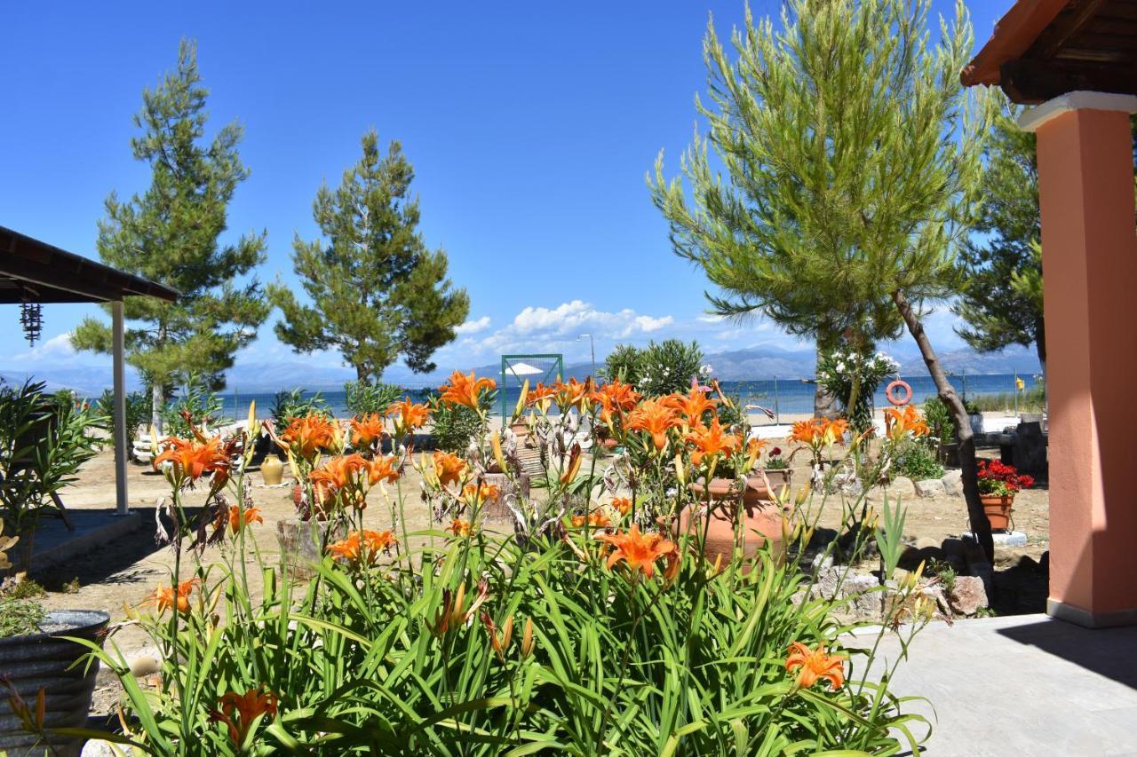Bouka Beachfront Bungalows Agios Nikolaos  Dış mekan fotoğraf